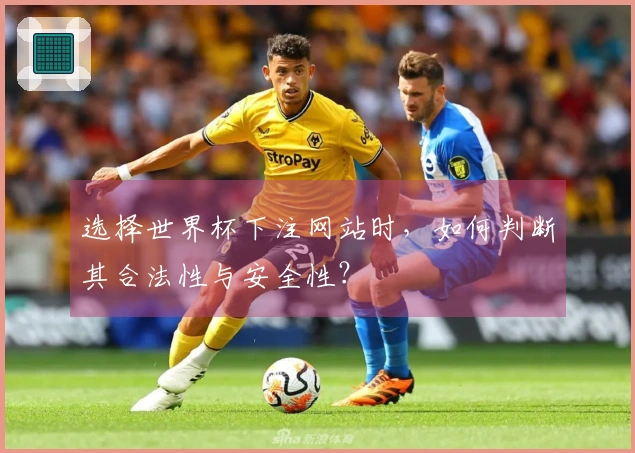 选择世界杯下注网站时，如何判断其合法性与安全性？